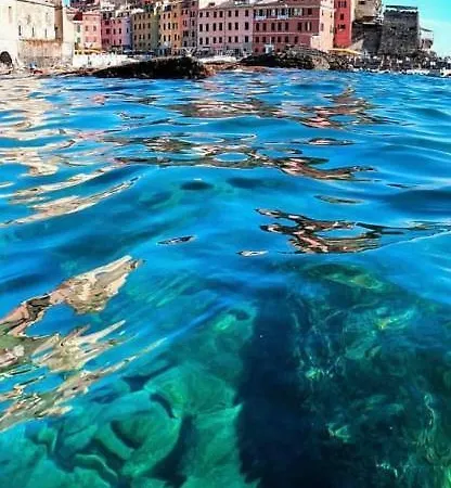 My Cinque Terre *